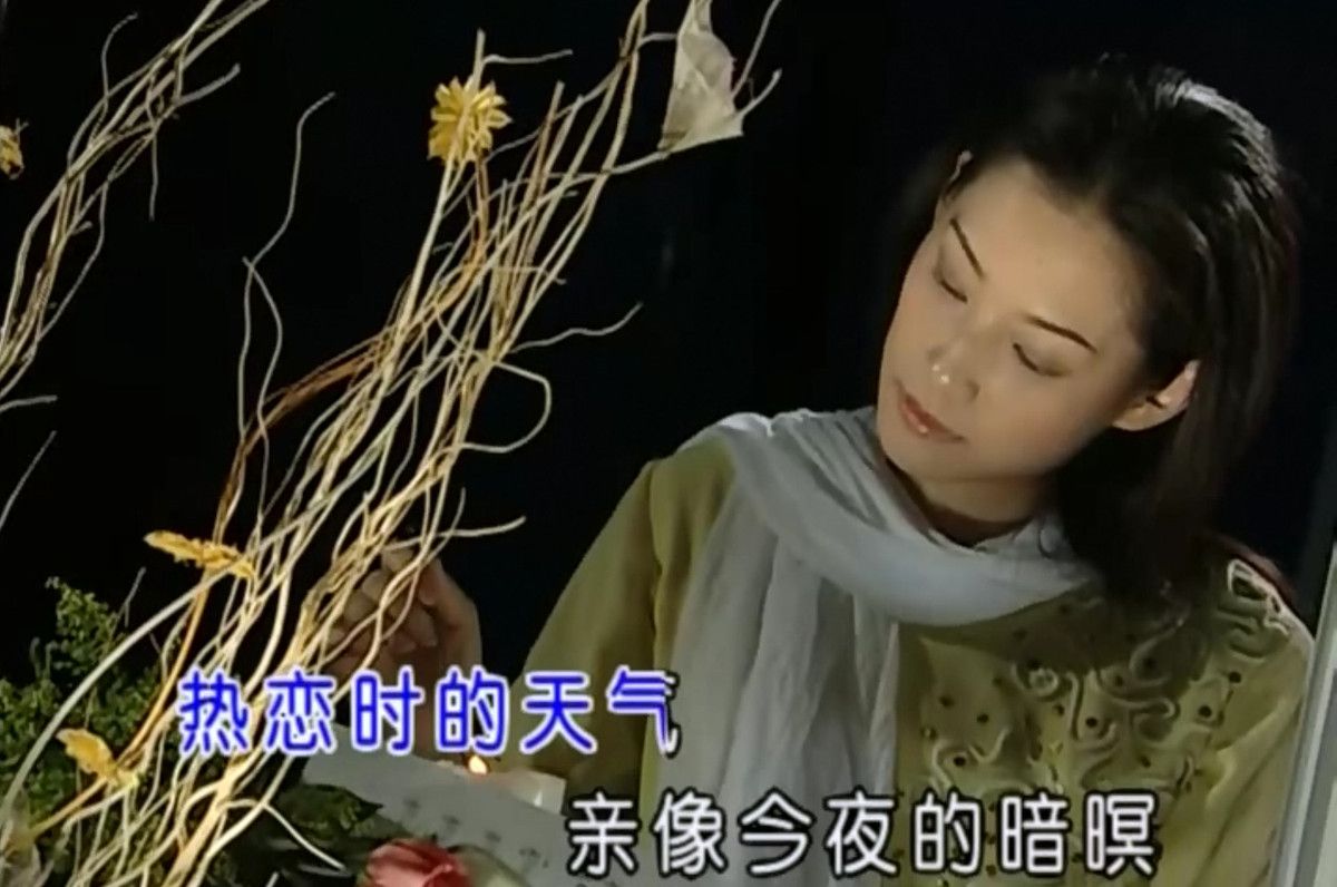 图片[14]-十二大美女MV视频车载音乐u盘花仙子甜歌酒廊情歌高清mp4通用优盘-资源分享