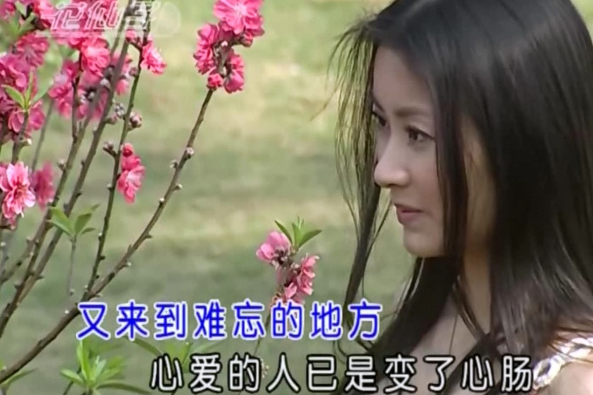 图片[9]-十二大美女MV视频车载音乐u盘花仙子甜歌酒廊情歌高清mp4通用优盘-资源分享