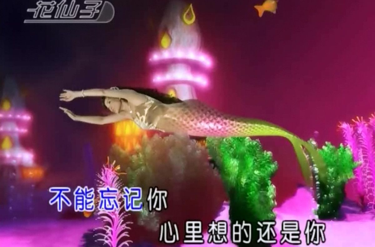 图片[7]-十二大美女MV视频车载音乐u盘花仙子甜歌酒廊情歌高清mp4通用优盘-资源分享