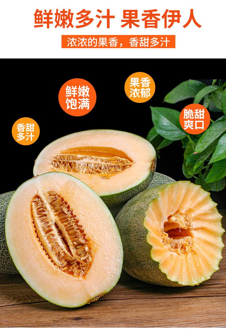 新疆哈密瓜3-5-10斤新鲜当应季水果脆甜网纹蜜瓜小香瓜西州蜜包邮
